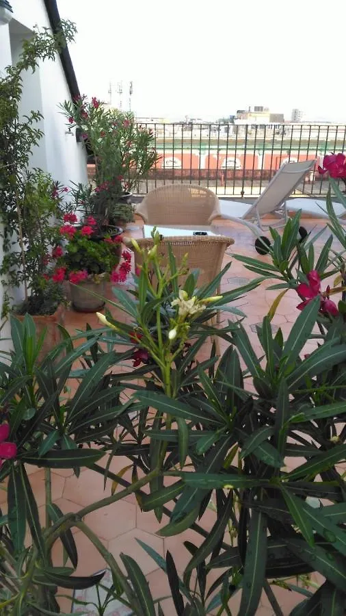 Janare - Rooms & Terrace Naples Italy